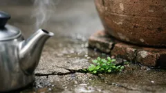 กำจัดวัชพืชตามรอยแตกพื้นปูนด้วยน้ำเดือด แบบไม่ใช้สารเคมี